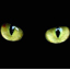 bdcat
